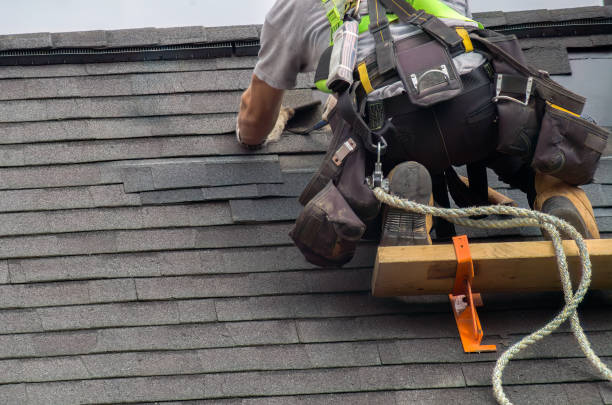 Roof Gutter Cleaning in East Palo Alto, CA
